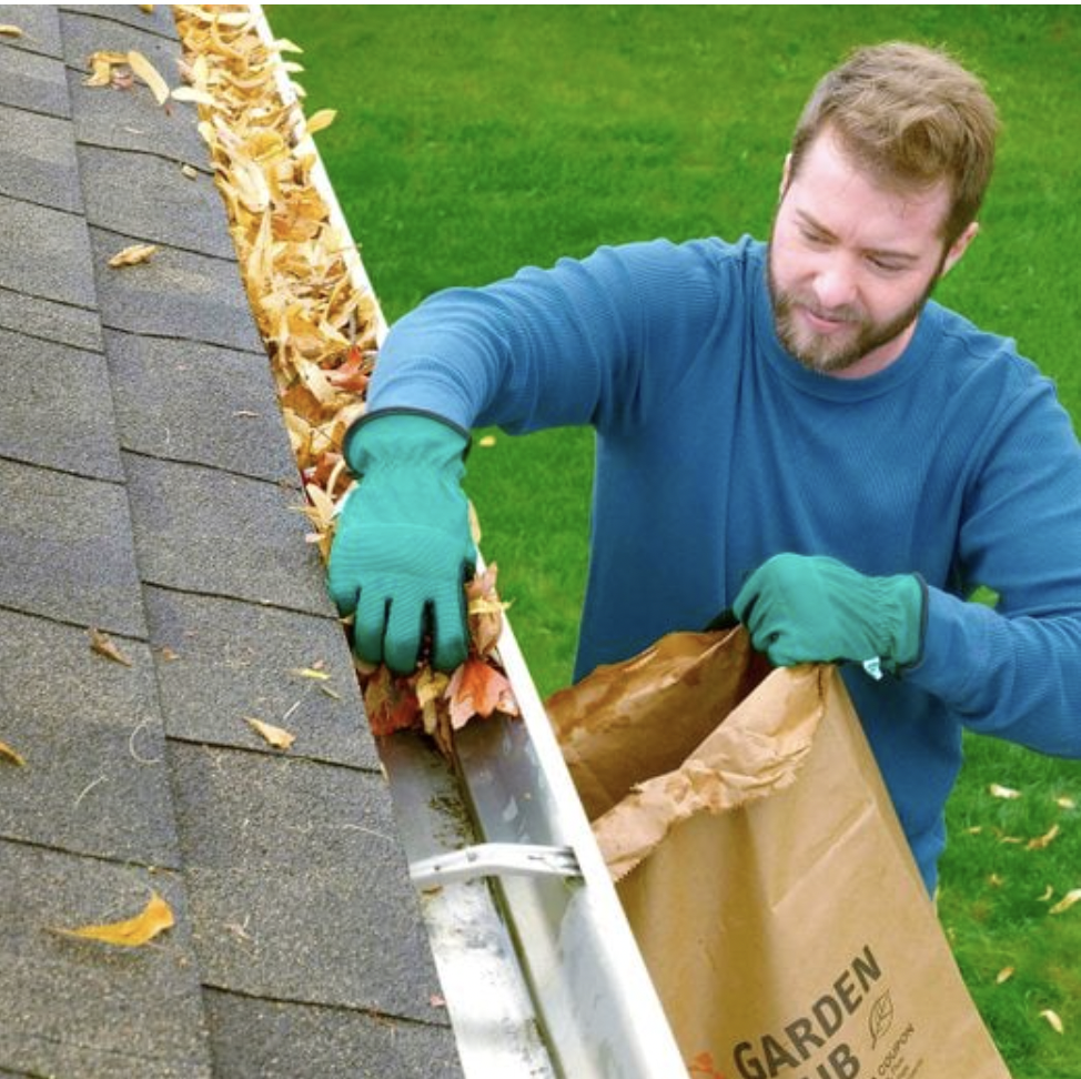 Gutter Cleaning